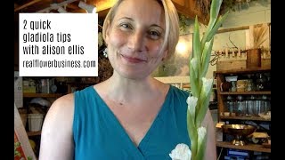 2 Quick Gladiola Tips [upl. by Yelnik506]