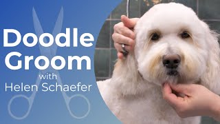 Doodle Grooming Demo with Helen Schaefer [upl. by Akinhoj]