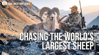 Marco Polo Sheep Hunt Chasing the worlds largest sheep [upl. by Tloc339]