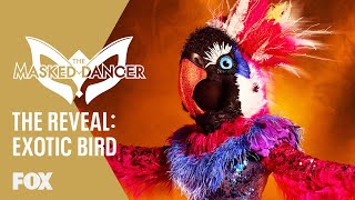 The Exotic Bird Is Revealed  Season 1 Ep 6  THE MASKED DANCER [upl. by Livingstone]