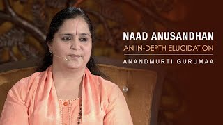 Naad Anusandhan An Indepth Elucidation  Anandmurti Gurumaa Hindi [upl. by Modie421]