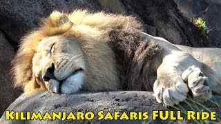 Kilimanjaro Safaris Full POV Ride at Disneys Animal Kingdom wLion King Spiel on Movie Opening Day [upl. by Field]