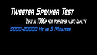 Tweeter Speaker Test [upl. by Fronnia]