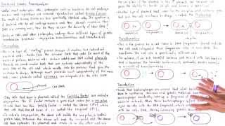 Conjugation Transformation and Transduction [upl. by Lorna820]