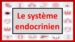 🔴ENDOCRINOLOGIE  LE SYSTÈME ENDOCRINIEN EN 06 MINUTES [upl. by Elletsyrk]