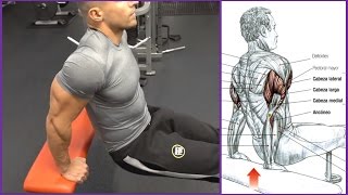 4 Ejercicios para el Triceps Workout  Fitness Body [upl. by Claud]