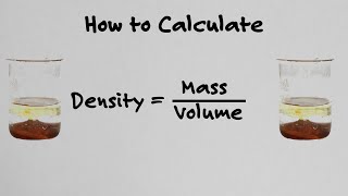 How To Calculate Density  With Examples [upl. by Buffo]