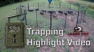 Wild Hog Trapping  Hog Trapping Video Highlight  JAGER PRO™ [upl. by Molloy877]