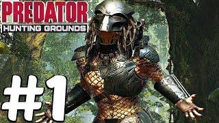 PREDATOR HUNTING GROUNDS  Gameplay Walkthrough Part 1  FULL BETA PS4 PRO [upl. by Ginnifer221]