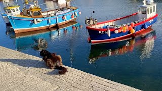 Mevagissey Cornwall [upl. by Esau552]