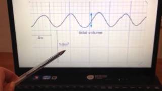 How to Perform a Spirometry Test [upl. by Ashley]