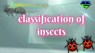 Classification of insects What is class and order entomology ICAR [upl. by Notterb]