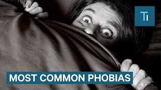 How To Get Over Phobias According To A Psychologist [upl. by Nairbo]