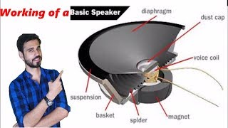 How does a Speaker Subwoofer Tweeter work [upl. by Ahsenrat]