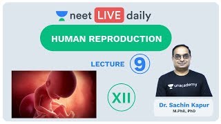 Human Reproduction  Lecture 9  Class 12  Unacademy NEET  LIVE DAILY  NEET Biology  Dr Sachin [upl. by Arriat]