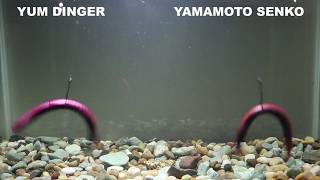 YUM Dinger vs Yamamoto Senko [upl. by Aenat]