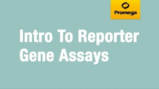 Introduction to Reporter Gene Assays [upl. by Lerim]