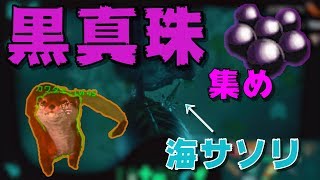 【スマホ版ARK】レア度高めな黒真珠集め指南！！いろんな方法で集めてみるぞ！！！【アークモバイル】【実況】75 [upl. by Cissie]