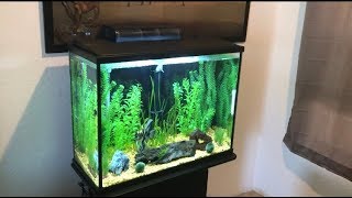 PetSmart Top Fin Essentials 37 Gallon Aquarium Kit Review [upl. by Misaq]