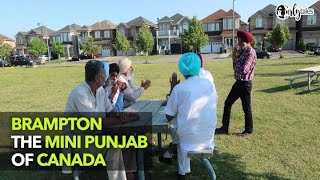 Always Trippin Episode 4  Brampton  The Mini Punjab Of Canada  Curly Tales [upl. by Dhiman]