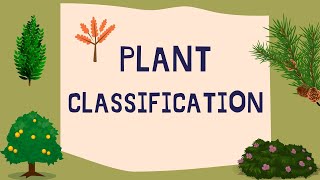 Plant classification [upl. by Suzy]