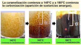 BROMATOLOGIA Caramelizacion pirolisis [upl. by Sdlonyer]