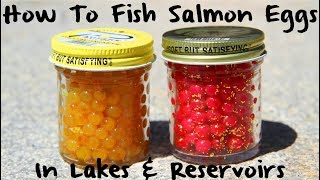 How to Fish Salmon Eggs in Lakes amp Reservoirs [upl. by Donalt479]