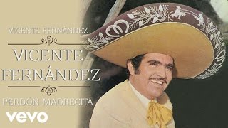 Vicente Fernández  Perdón Madrecita Cover Audio [upl. by Elbas471]