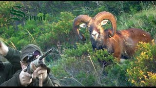 Hunting Mouflon in Croatia  on island Dugi Otok [upl. by Winn874]