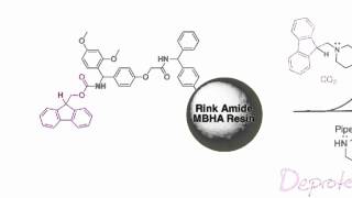 Fmoc Solid Phase Peptide Synthesis [upl. by Aelyak]