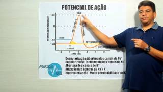 Potencial de Ação  Fisiologia Fácil [upl. by Aydni]