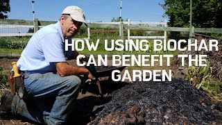 How using Biochar can benefit the garden [upl. by Sackey325]