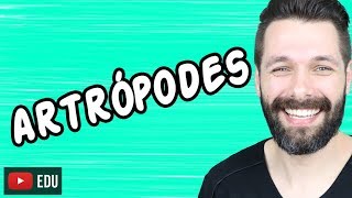 ARTRÓPODES  INTRODUÇÃO  ZOOLOGIA  Biologia com Samuel Cunha [upl. by Bean869]