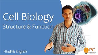 Cell Biology  Human Cell Structure and Functions [upl. by Etteneg]