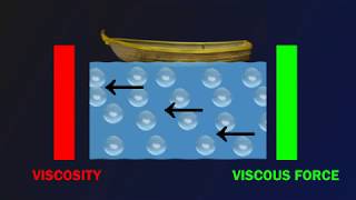 Understanding Viscosity and Viscous Force [upl. by Agustin216]