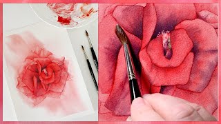 Red Rose Watercolor Painting Tutorial [upl. by Maxim]