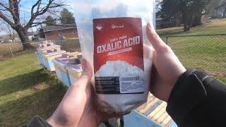 How to use an Oxalic Acid Vaporizer for your honey bees [upl. by Louisa93]