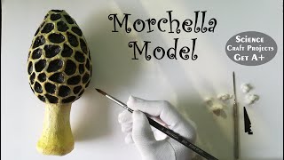 Making Morchella Mushroom [upl. by Eltsyrk218]