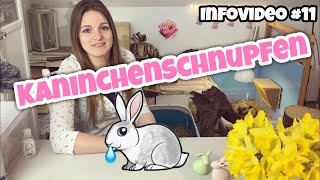 Kaninchenschnupfen  Infovideo [upl. by Eedyaj]