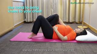 4 Exercises for Pelvic Girdle Pain Part 2 [upl. by Jenda]