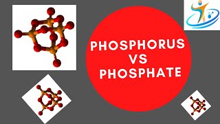 Phosphorus vs Phosphate [upl. by Eimmac]