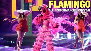 The Masked Singer Flamingo All Clues Performances amp Reveal [upl. by Nossyla]