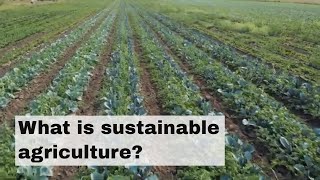 What is sustainable agriculture [upl. by Allene]