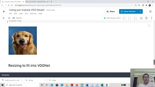 How to use VGG16 as a pretrained model in 8 minutes [upl. by Amadeus]