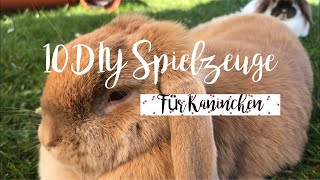 10 DIYSpielzeuge für Kaninchen  Two sweet bunnies [upl. by Leonora687]