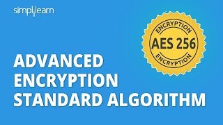 AES  Advanced Encryption Standard Algorithm In Cryptography  AES Explained  Simplilearn [upl. by Verina119]