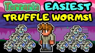 EASIEST TERRARIA TRUFFLE WORM FARM Simple Truffle Worm Farm Design Beginner Guide Step By Step [upl. by Kcirdle]