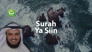 Surah YASIN Merdu dan Menyejukkan  Mishari Rasyid AlAfasy  Tadabbur Daily [upl. by Asertal]