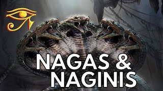 The Nagas amp Naginis  Serpentine Beings of Indian Legend [upl. by Ecnarf]