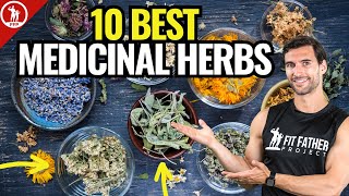 Top 10 Best Medicinal Herbs  For Health amp Vitality [upl. by Nylle]